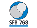 SFB768